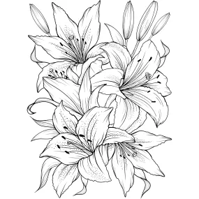 Color My Lily Wall Mural