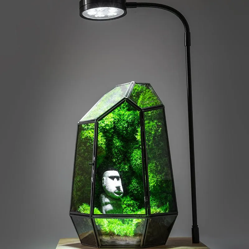 Geometric Terrarium