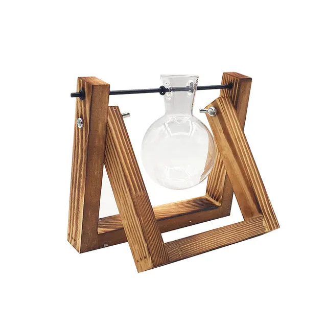 Hydroponic Wooden Frame Plant Terrariums